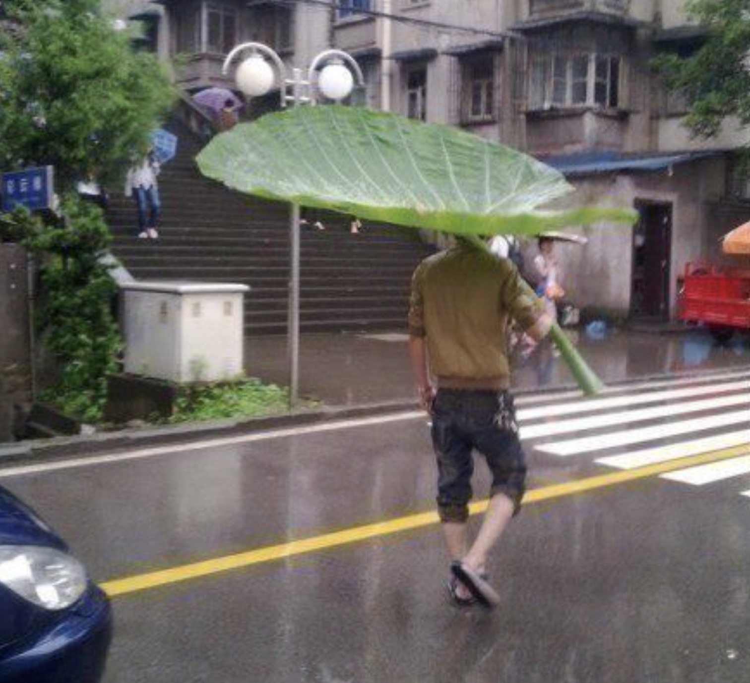 totoro leaf umbrella